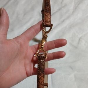 Chic Tan Snake-Print Belt with Gold Details